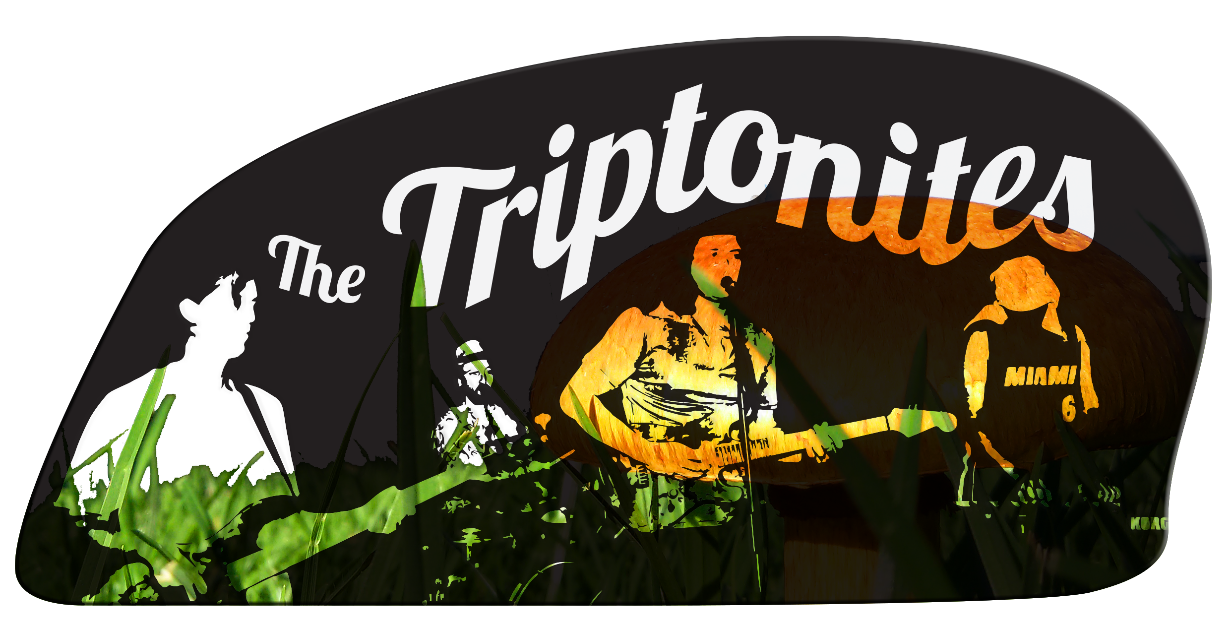 The Triptonites - 4 piece psychedelic funk